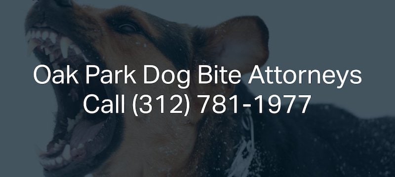 Oak Park Dog Bite Attorneys