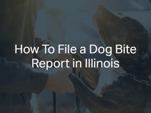 How To File a Dog Bite Report in Illinois