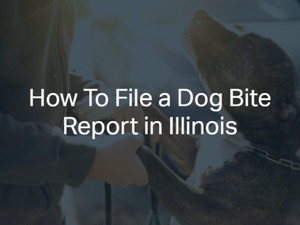 How To File a Dog Bite Report in Illinois