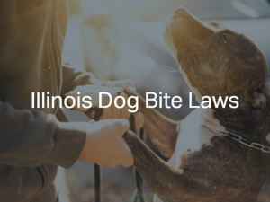 Illinois Dog Bite Law