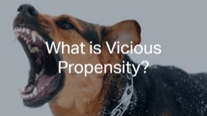 What is Vicious Propensity?