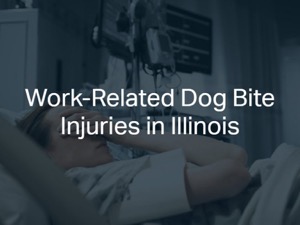 Work-Related Dog Bite Injuries in Illinois
