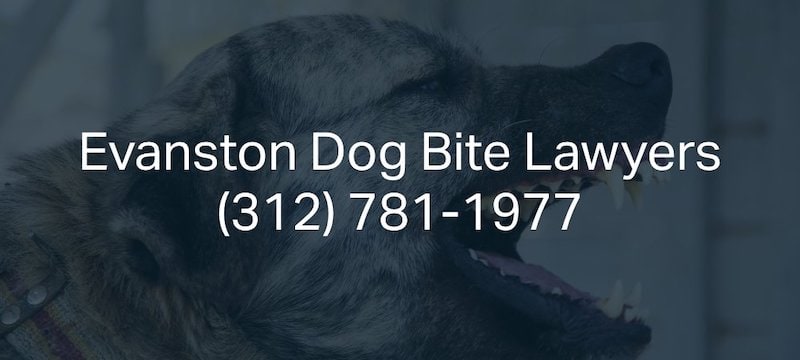Evanston Dog Bite Lawyers